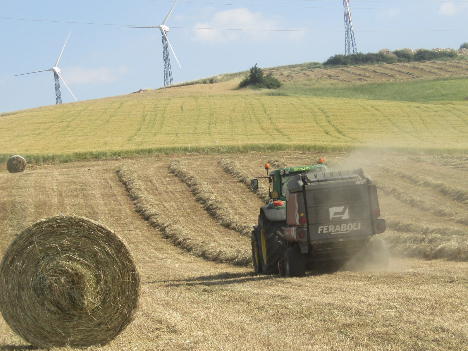 coltivazione di cereali e foraggi